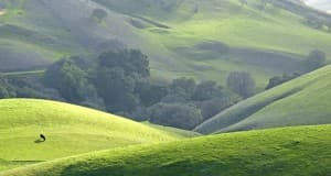 Why Most Parenting Advice is Wrong